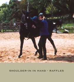 Sense and Feeling Equitation with Lynne Riddell - Classical Principles